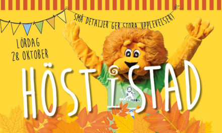 Höst i stad 28 oktober